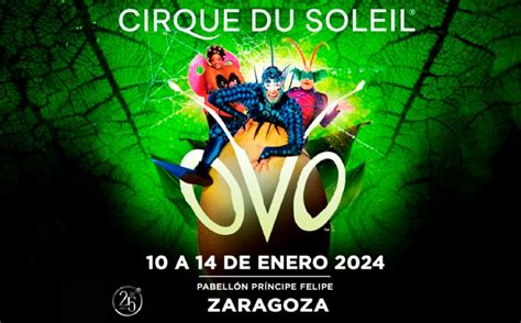 CIRCO DEL SOL: OVO